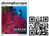 Dive Europe