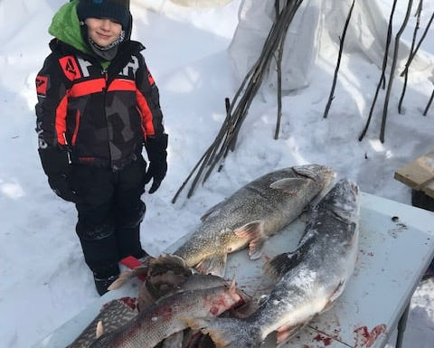 EASC-enfant-poisson.jpeg