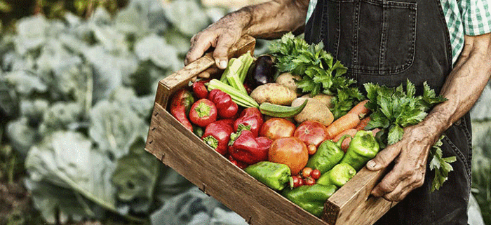 Cyber Green Market News