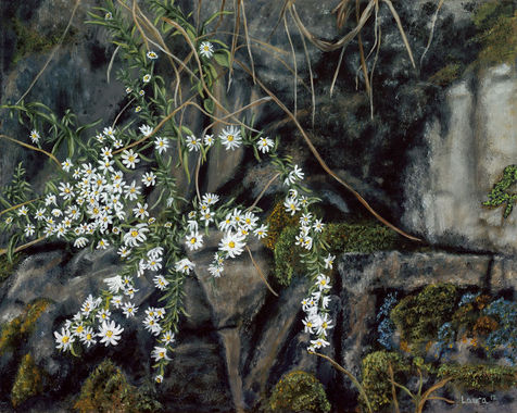 Acrylic Painting, Roaring River State Park, Missouri