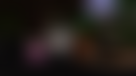 Carnival 2019: first prize mask