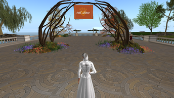 KittyCatS 8th birthday !