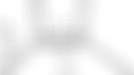 Cica Ghost: the drawing of SL