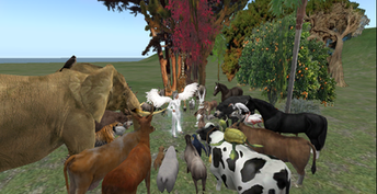 I attract animals, sometimes