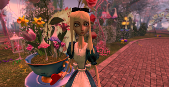 Alice in SLWonderland