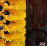 Horse Brush