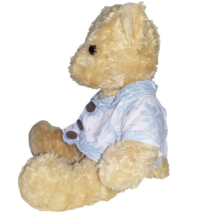 Miniatura: Peluche Oso Camisa Hawaiana 31cm Wow Company