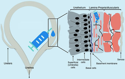 29740063-31f7-46a1-8963-454a325bbc15_edi