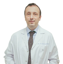 prof dr ahmet tefekli