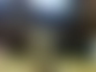 通常稽古にて