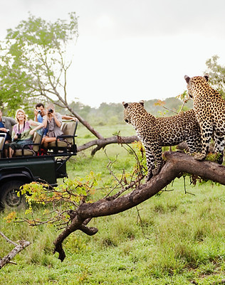ghana safari and wildlife