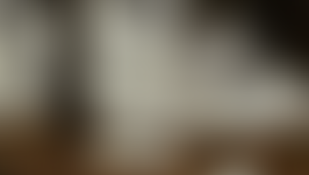 COMMENT SE DÉBARRASSER DES FANS