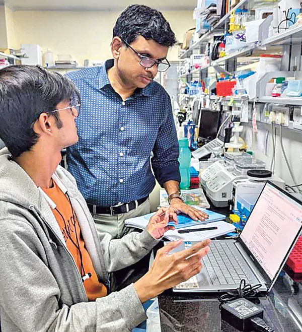 Diabete and obesity: రోజుకు రెండుసార్లు చక్కెరతో టీ, కాఫీలు తాగితే మధుమేహం