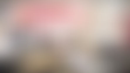 తక్షణమే 12వ వేతన సవరణ సంఘం నియమించి 30% ఐఆర్ ప్రకటించాలి -రాష్ట్ర ఫ్యాప్టో కార్యవర్గ తీర్మానం