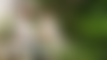 70 ఏళ్లు దాటినవారికి 5 లక్షల రూపాయల ఉచిత బీమా.. ఎలా నమోదు చేసుకోవాలి? ఏమేం పత్రాలు కావాలి?AB-PMJAY