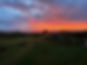 Red skies farm.jpeg