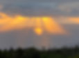Golden sky farm.jpeg