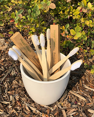 2AFCD54F-C29F-4B93-A8FB-2E8D145AD843.jpe