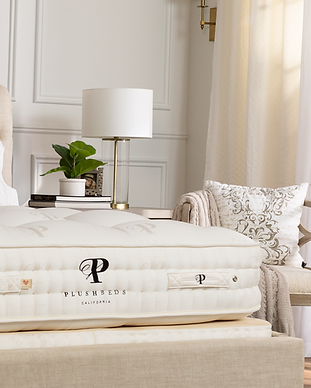 PlushBeds Mattress Corner (1).jpeg