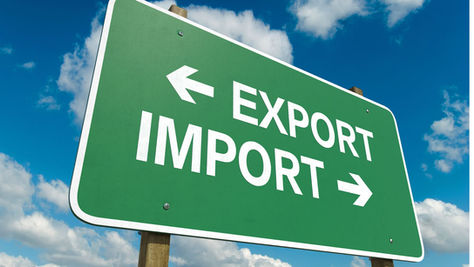 Your Guide to Importing Frozen Fish into the European Union (2025 Update)