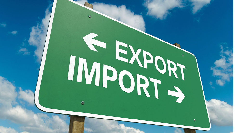 Your Guide to Importing Frozen Fish into the European Union (2025 Update)