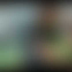 Who Was Kingg Tokyo? The Calliope Hood Star Who Carried His Own