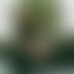 Big Boss Vette Drops Visuals for “I Look Like”