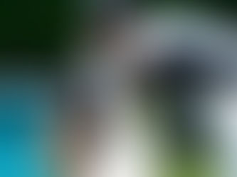 Prince Royal Releases "Want or Need"