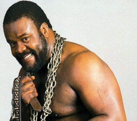 How Junkyard Dog’s Happiest Day Turned Into Tragedy | The True Life Story of Sylvester Ritter