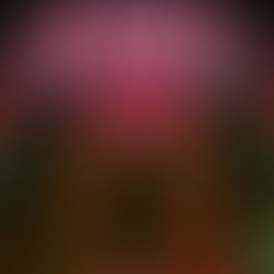 CodeBrat x Trelly Close Out the Summer with a Hot New Orleans Bounce Album “2 For 1”