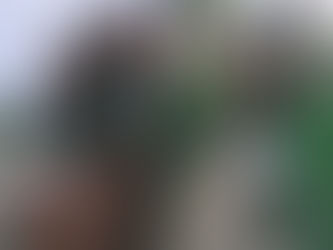 Who Is Tokey Hefner? The Magnolia Projects’ Best-Kept Secret