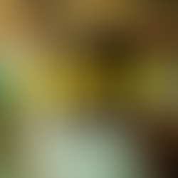 Dallas, Texas Music Artist Yung Nocc Drops Visuals for "Wasting Time"