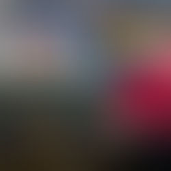 He Sold His Dream Car to Start a Pizza Shop — It Became a $3 Billion Empire. The Sacrifice That Created Papa John's