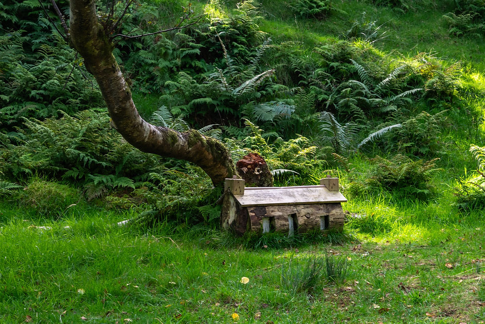 Fairy house along the trail to the Glenevin Waterfall, Donegal County Ireland