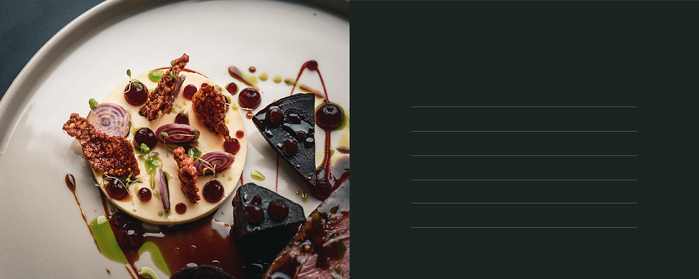 WEBPAGE-VIDEO---STRIP-2.png
