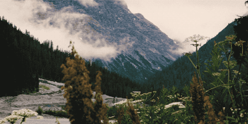 86f483ece6a0cc87a73bb04fe082762e.gif