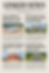ChatGPT Image 19 sept 2025, 10_08_48 a.m..png