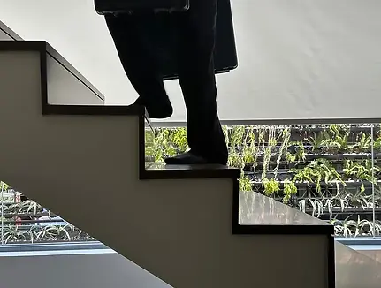 ผลงาน-maimo-11