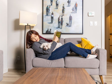 Pet-Friendly Apartments in Calgary: 7 Things Pet Owners Should Look For Before Signing a Lease
