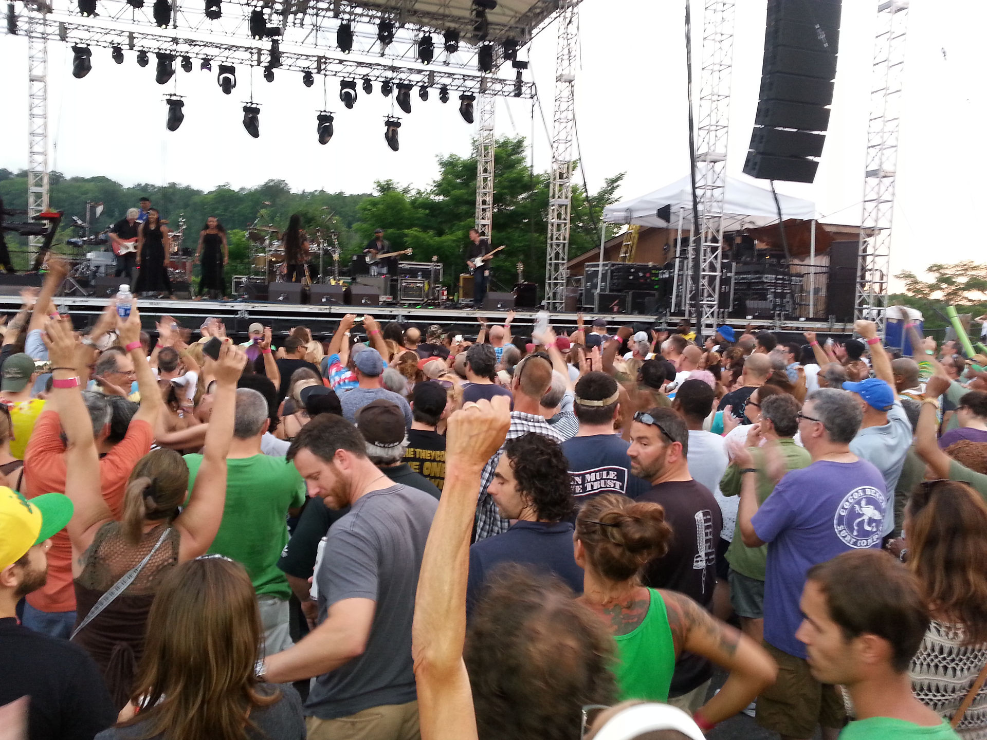 Ziggy Marley at Art Park Attendees