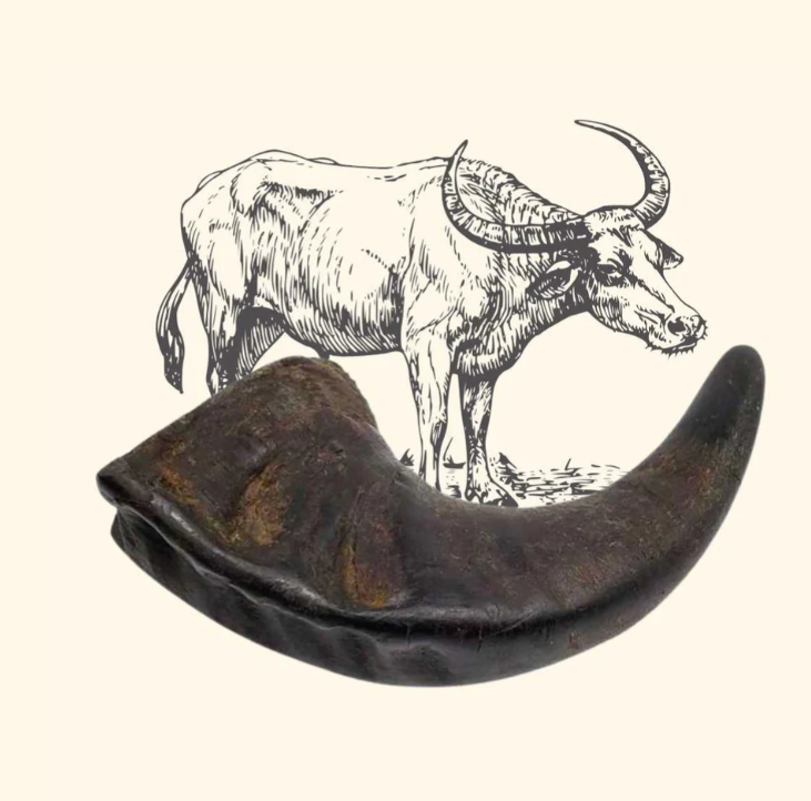 shop75.png