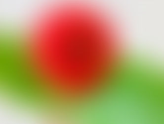 今月のお花