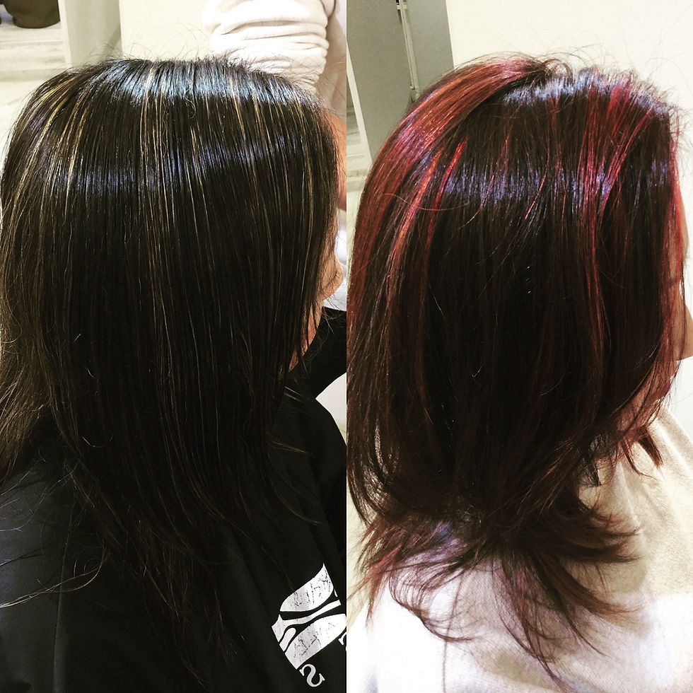 664B5AE8-DE92-49EF-B531-D465293AA612