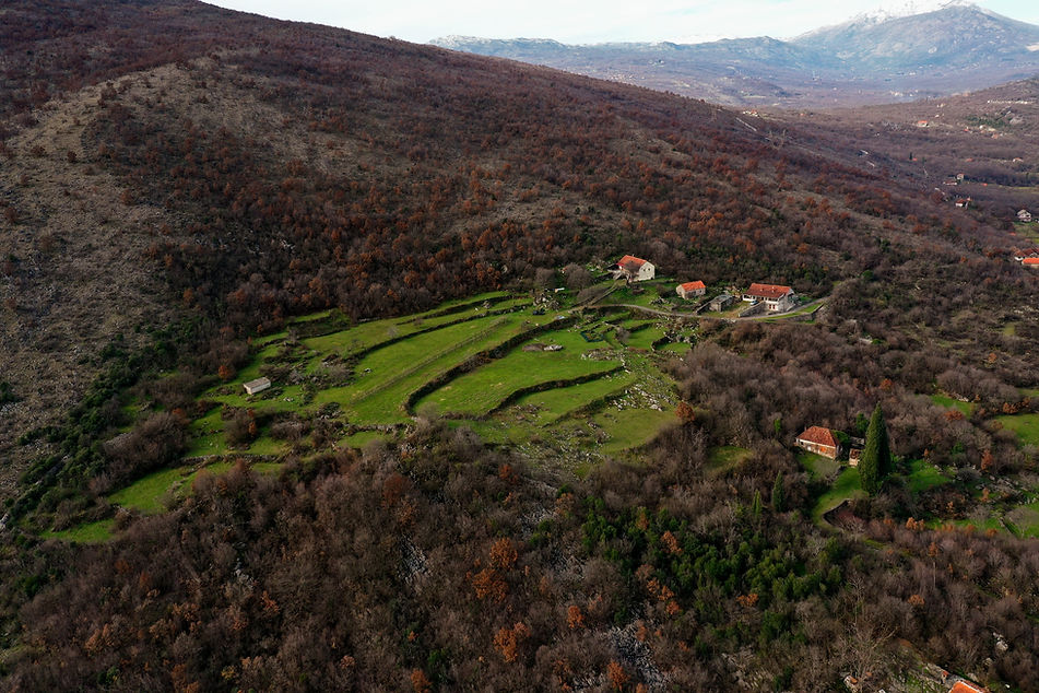 DJI_0641_edited.jpg