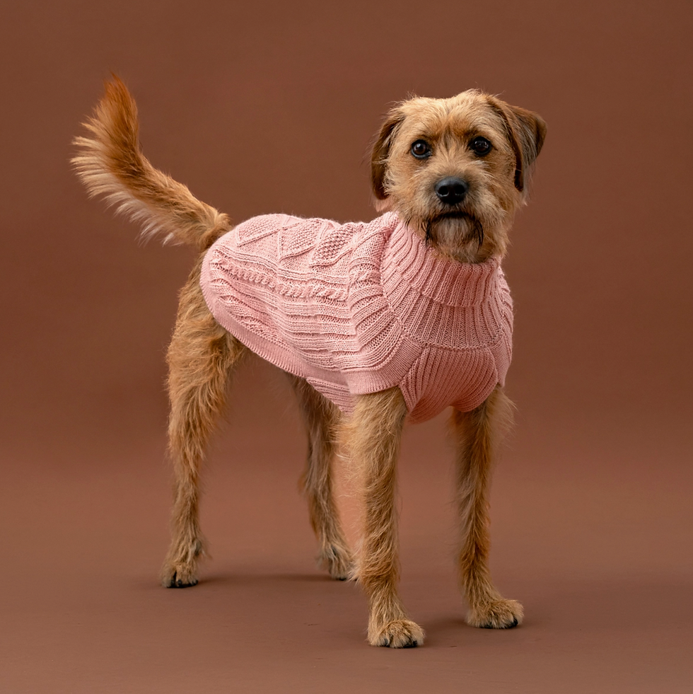 Alqo Wasi Aran Knit Alpaka Hundepullover Rosa