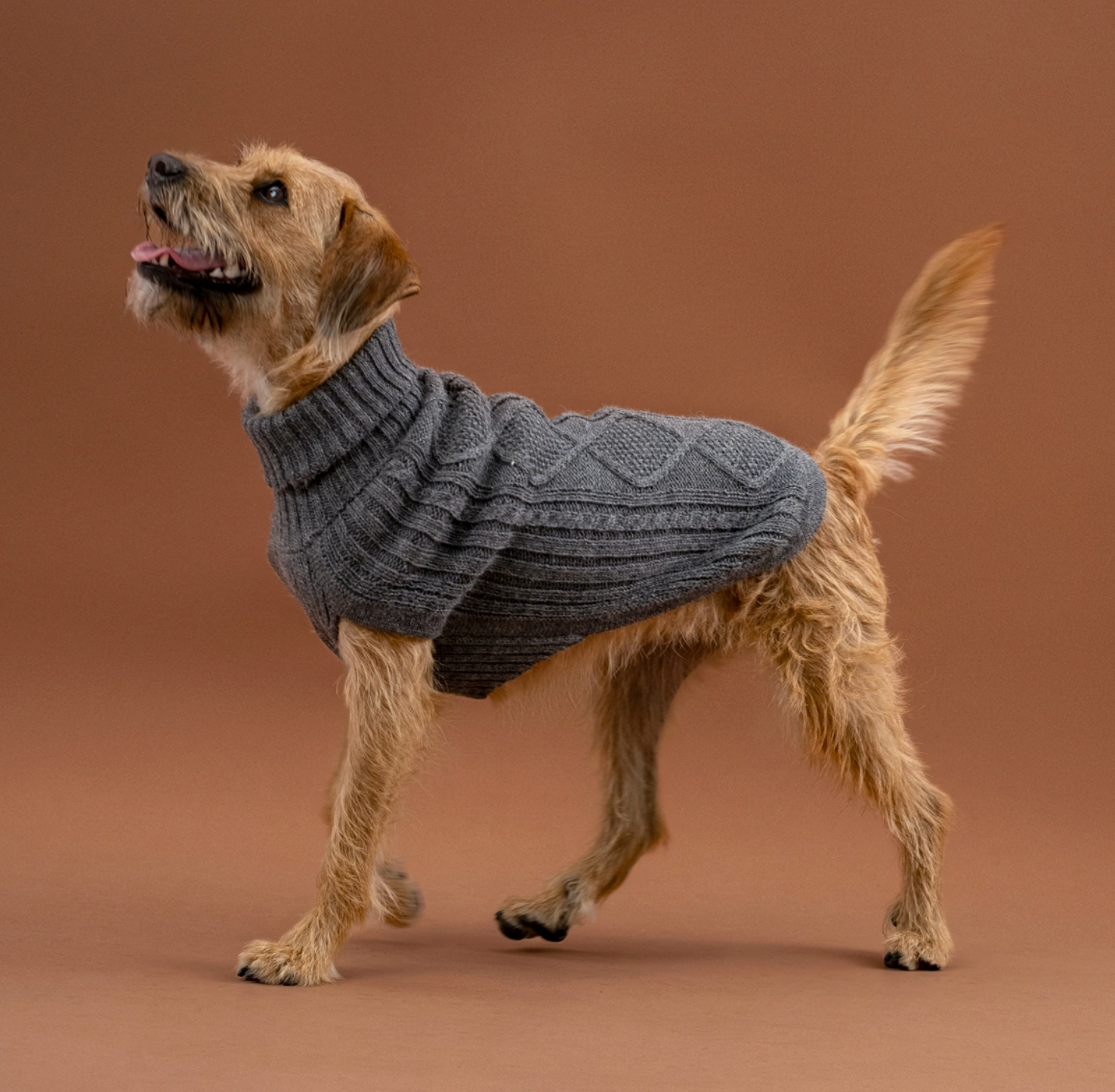 Alqo Wasi Aran Knit Alpaka Hundepullover Grau mit süßen Hundi