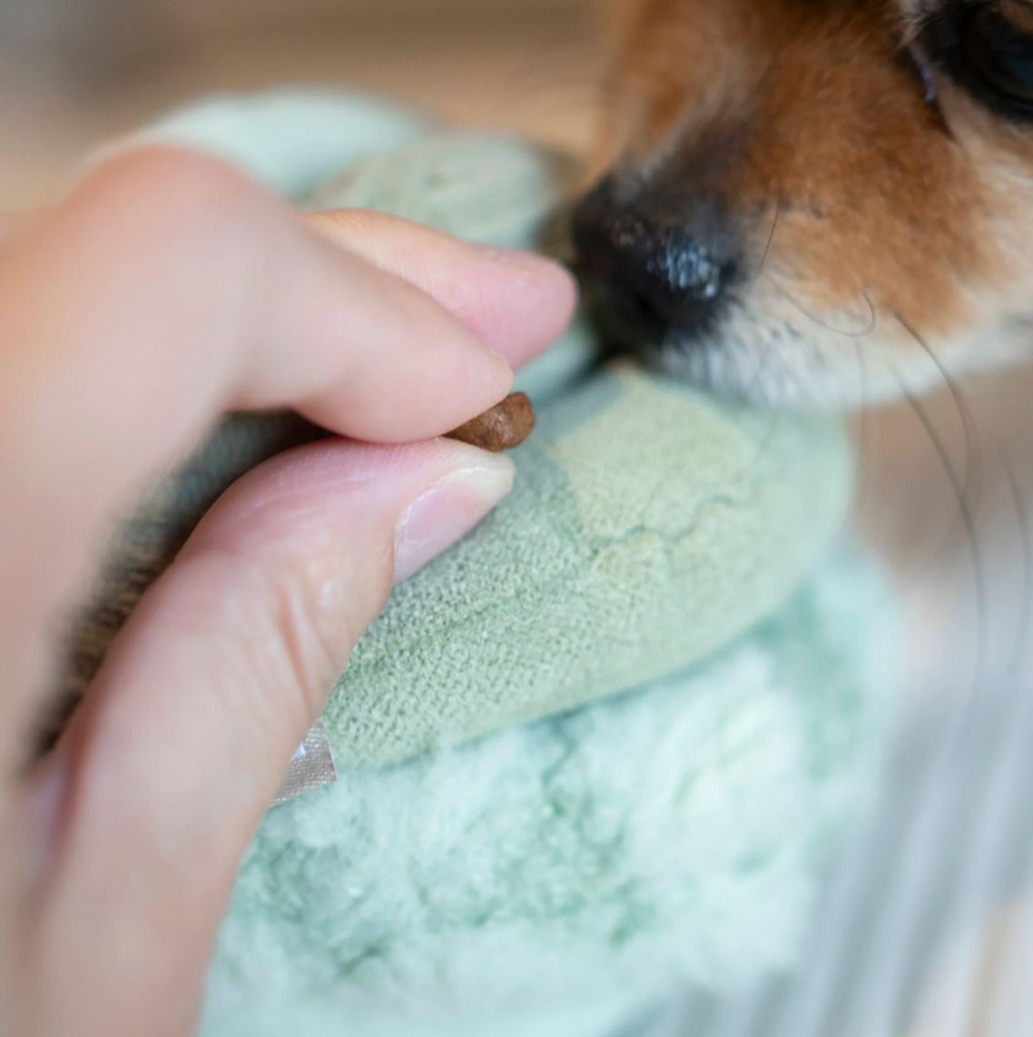 rüner TOTO Schnüffelball für Hunde mit acht Leckerli-Verstecken