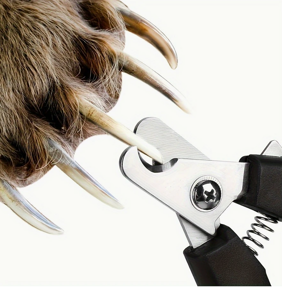 Miniaturbild: Krallenzange mit hellblauem Griff mit spitzen Krallen