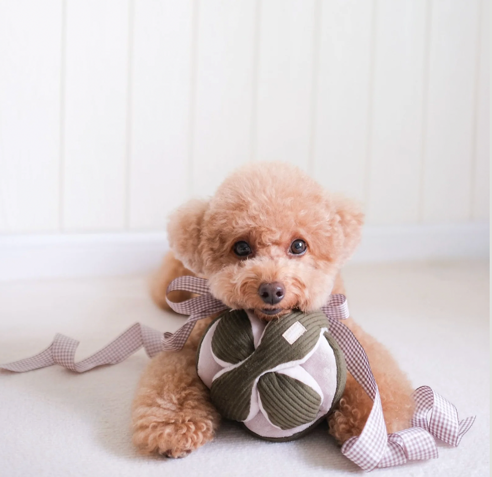 monti-snuffle-ball-hundespielzeug