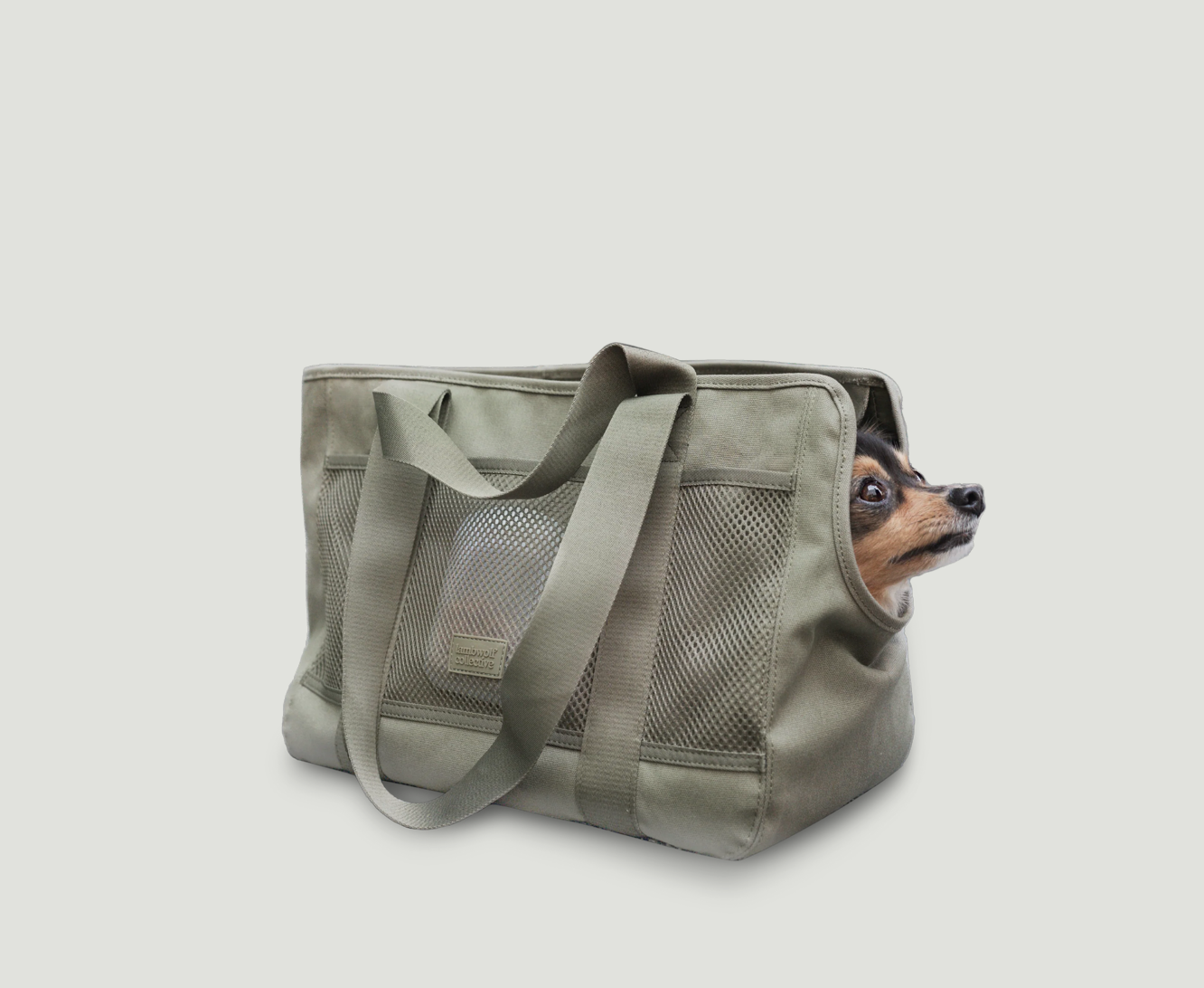 Subway Hundetasche Grün